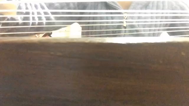 はらへり〜の記事動画