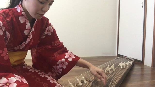2017年の記事動画