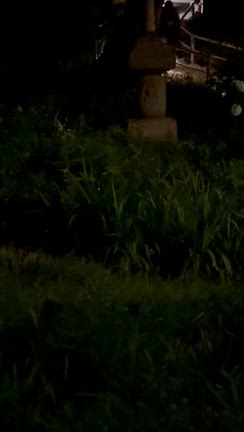 とおさん68歳誕生日の記事動画