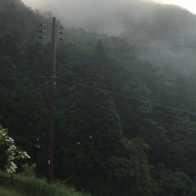 新たな発見の画像