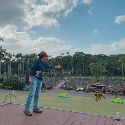 終日滞在がオススメ☆東南植物楽園の記事動画