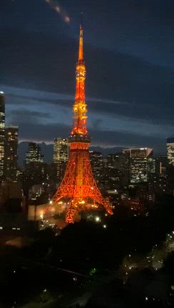 心遣いが嬉しい！ターンダウンサービス ～ザ・プリンス パークタワー東京～の記事動画