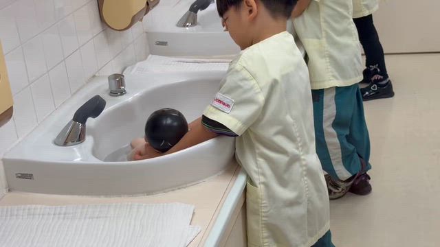 赤ちゃんのお世話がしたかったのです。の記事動画