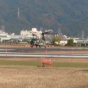 チヌークの画像