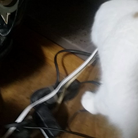 ずっと何かを探しているの画像