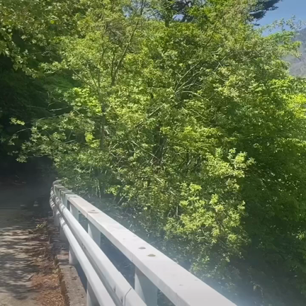 新緑が素敵ですの記事動画