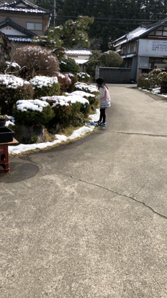 今日はの記事動画