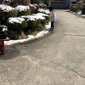 今日はの画像