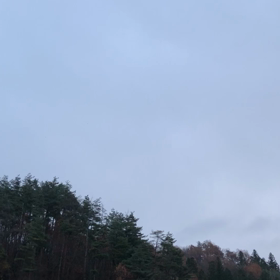私の心と空はどんより仲間の画像