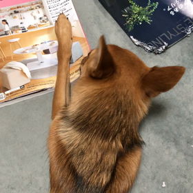 調子がいいからと動き過ぎるとダメの画像