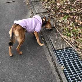後悔先に立たずの画像