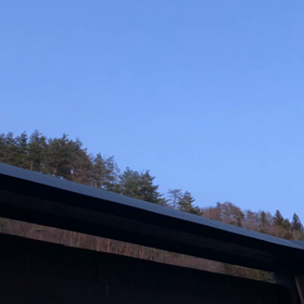 夕暮れのうぐいすの画像