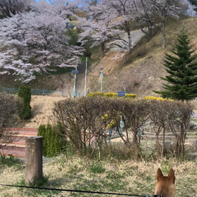 久しぶり！の画像