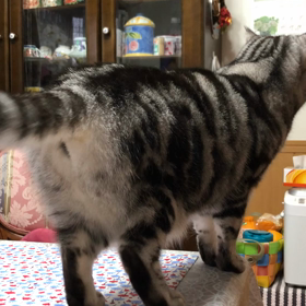 スマホにチュの画像