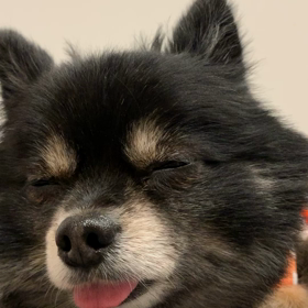 発症から９７日目　放射線治療について知った こと。の画像