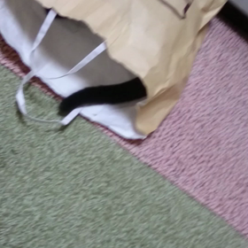 紙袋VSの画像