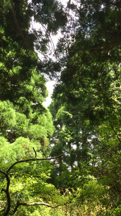 排泄日和の記事動画