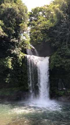 自然に癒してもらう。ミニ旅の記事動画