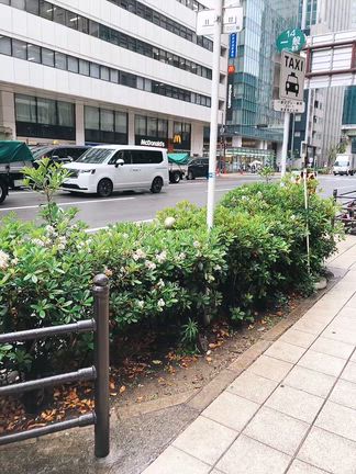 名前のない鰻屋　北新地　四ツ橋　2026年１年のみ　ミシュランシェフ監修　1日10食限定の記事動画