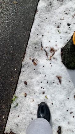 雪の記事動画