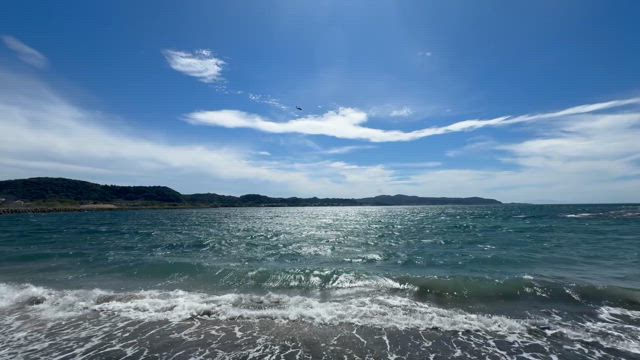 海♡の記事動画