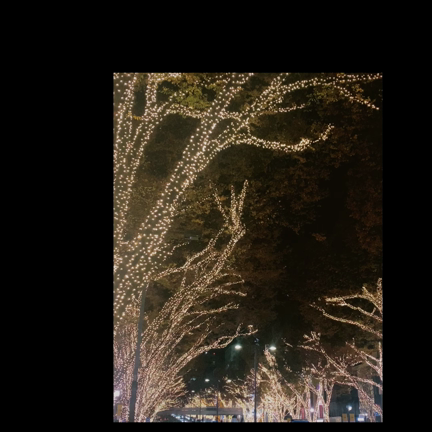 表参道イルミネーション'23の記事動画