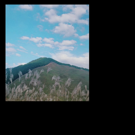 曽爾高原2023。の記事動画