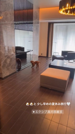 早めの夏休み旅行の記事動画