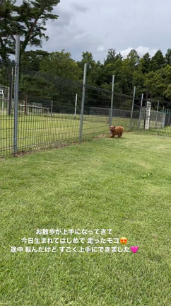 生まれてはじめて走った日の記事動画