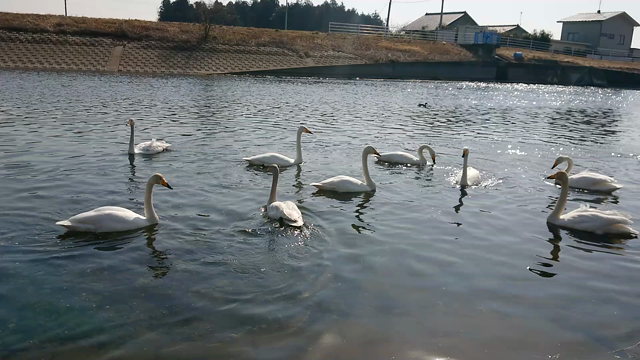土の中から出てきたものは⁉️の記事動画