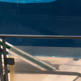 八景島シーパラダイス・水族館・ペンギン愛2022.04の画像