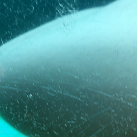 無料で遊ぶ★ウォーキング@八景島シーパラダイスの画像