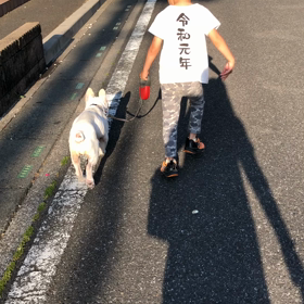 手術終了！の画像