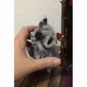 またコロナ自粛？の画像