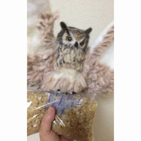 非常食を守るフクロウの画像