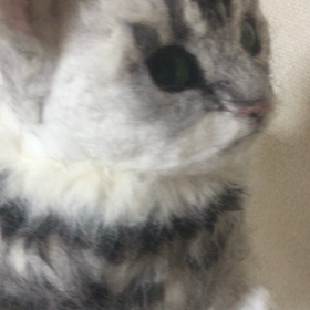 今日の進捗状況の画像