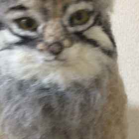 羊毛マヌルネコ2点目✨の画像