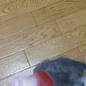 お茶の画像