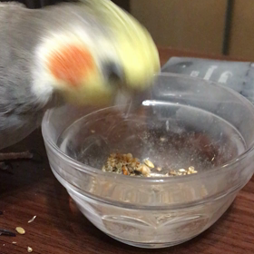 おやつの画像