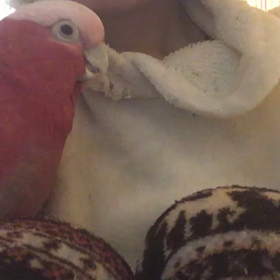 inの瞬間の画像