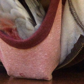 服の中の画像