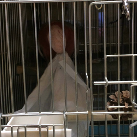 無駄でしたの画像