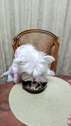 New year eve♡の記事動画