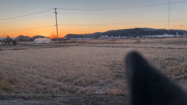 もう10日の記事動画