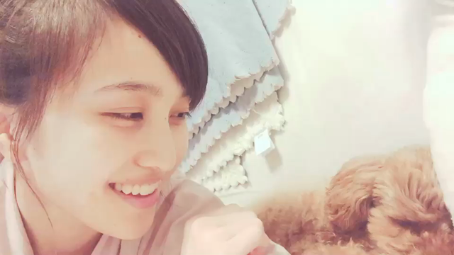 おやー！の記事動画