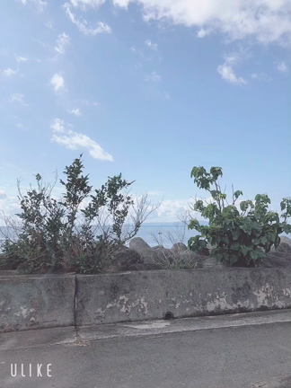 石垣島③の記事動画