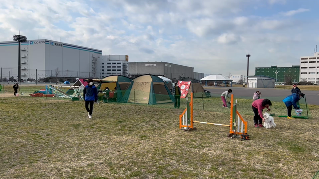 ぞくぞくと戻ってきました！の記事動画