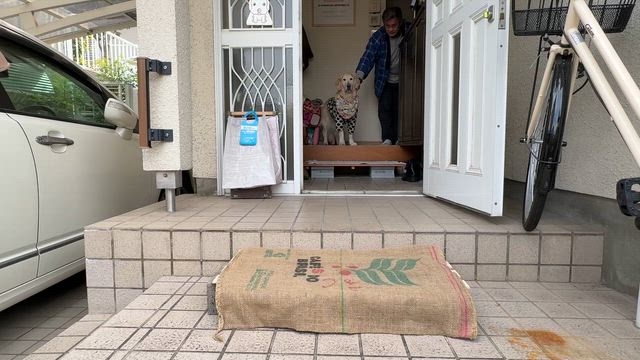 シニアわんこ事情　後ろ脚対策　＆　秘密基地的カフェ（笑）の記事動画