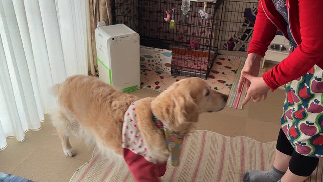 引っ越し完了の慰労会の記事動画
