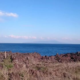 いがいが根の画像